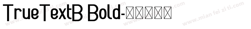 TrueTextB Bold字体转换